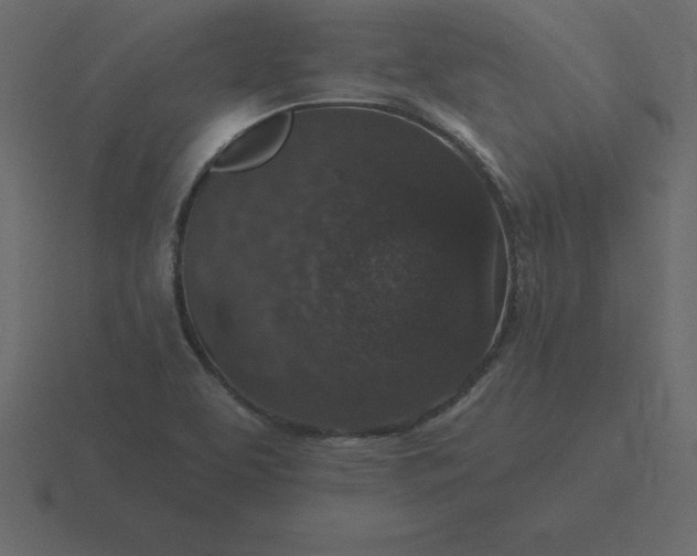 X0000116611463200912241724