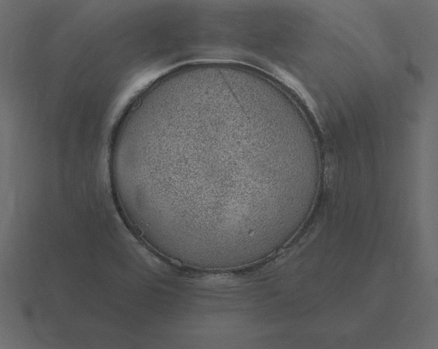 X0000116611464200912241724