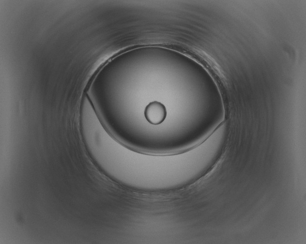 X0000116611465200912241724