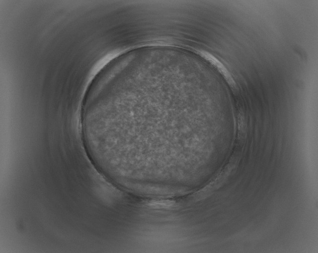 X0000116611466200912241724