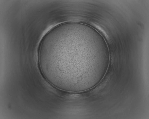 X0000116611467200912241724