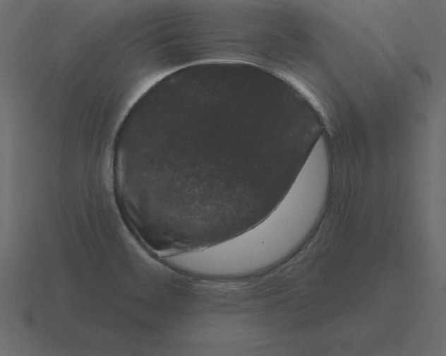 X0000116611468200912241724