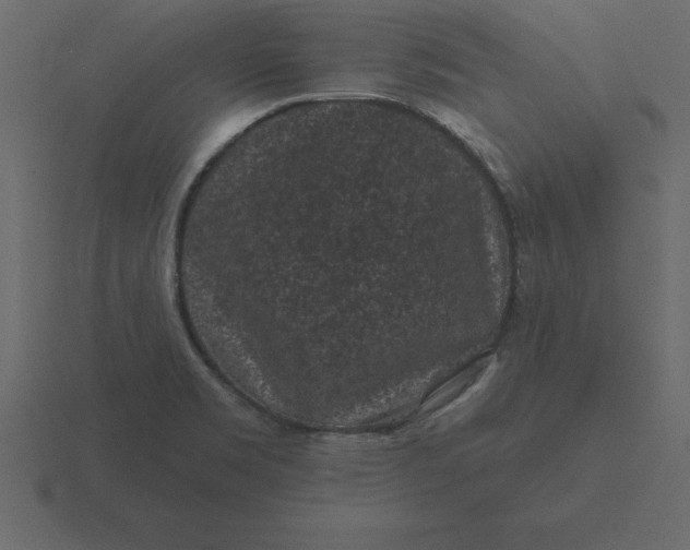 X0000116611469200912241724