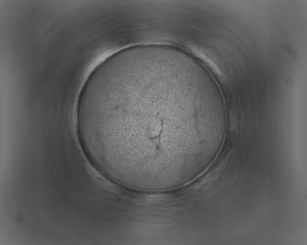 X0000116611471200912241724