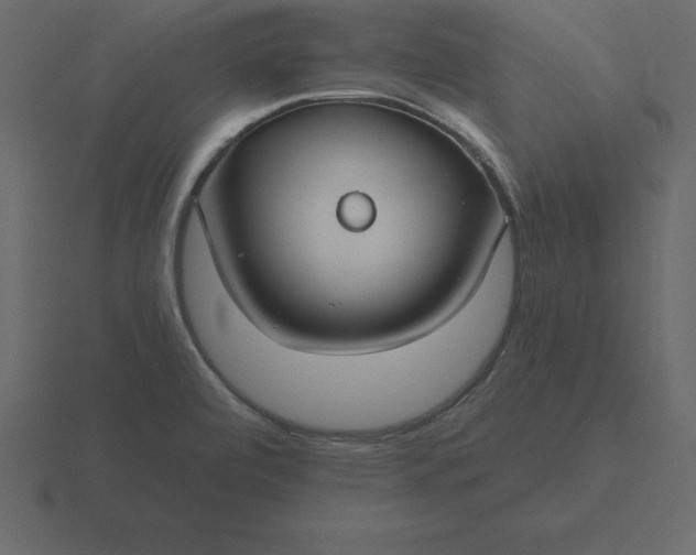 X0000116611472200912241724