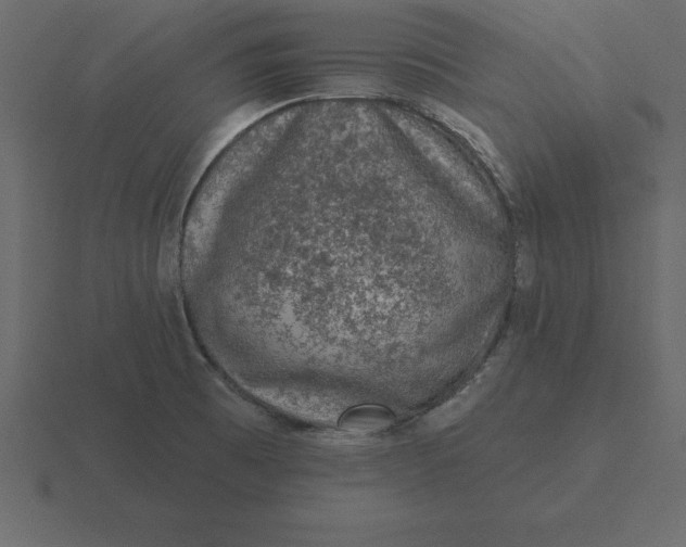 X0000116611473200912241724