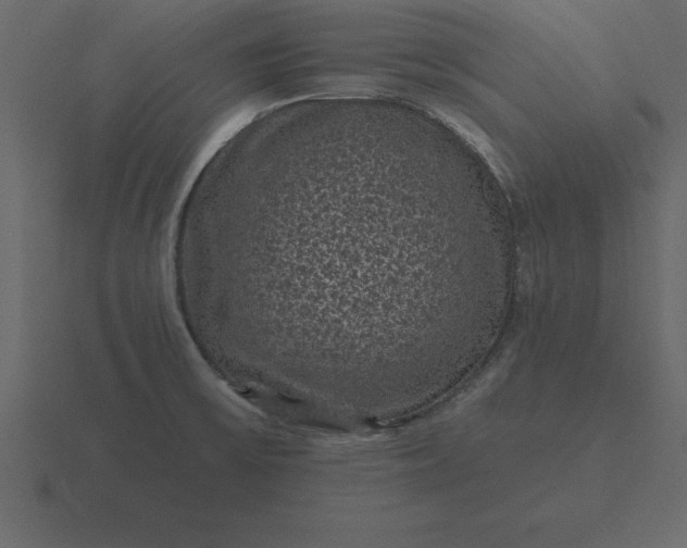 X0000116611475200912241724