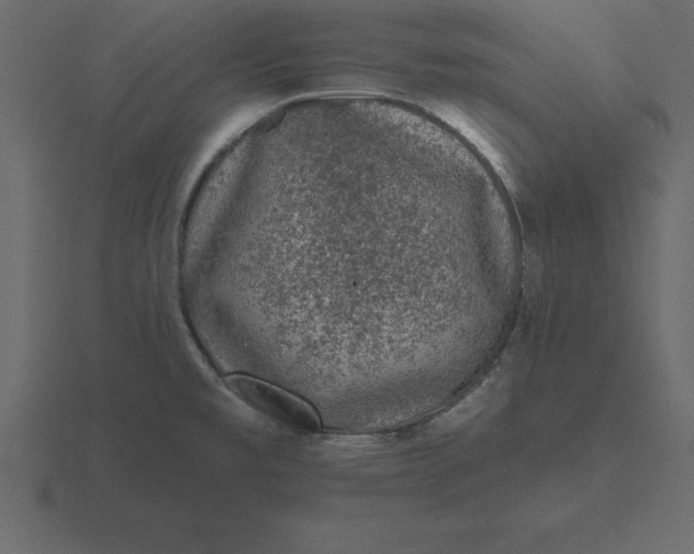 X0000116611477200912241724