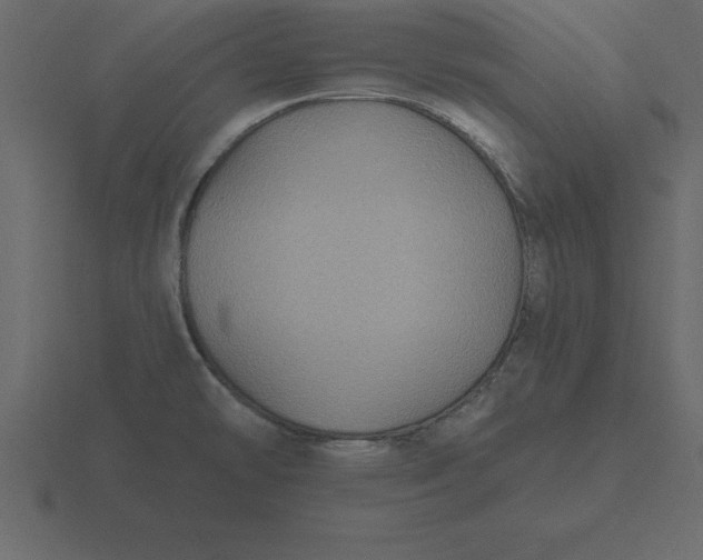 X0000116611478200912241724