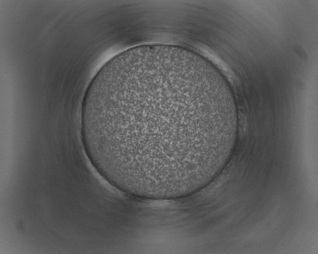 X0000116611479200912241724