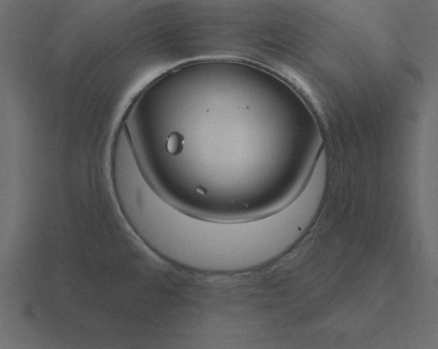 X0000116611480200912241724