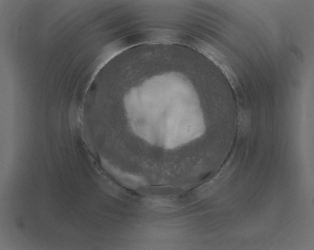 X0000116611481200912241724