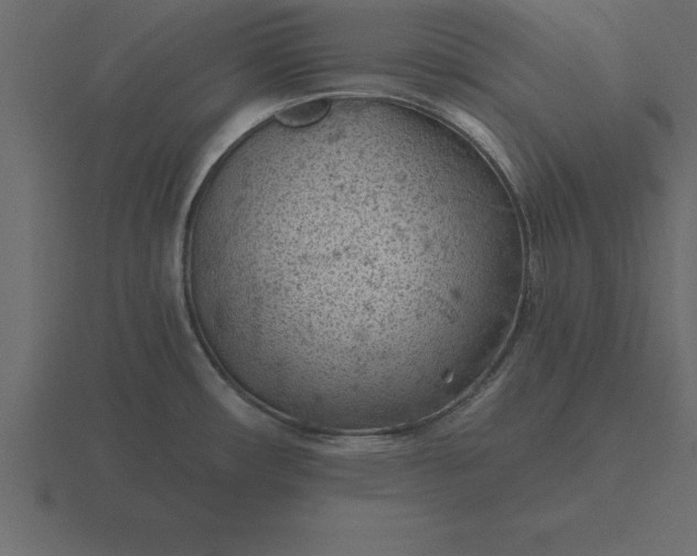 X0000116611482200912241724