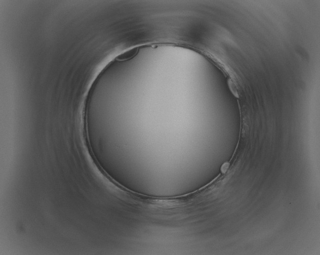 X0000116611483200912241723