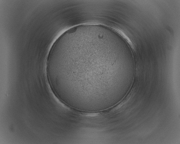 X0000116611484200912241723