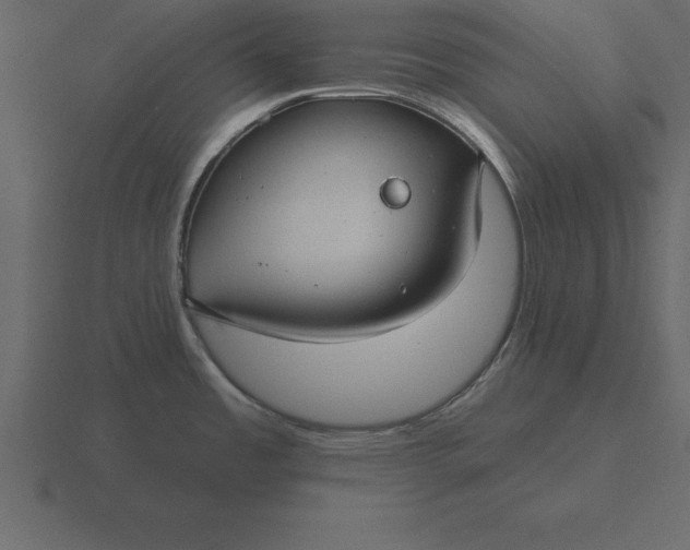 X0000116611485200912241723