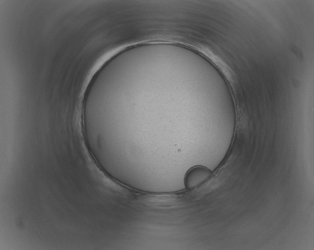 X0000116611486200912241723