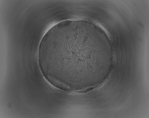 X0000116611487200912241723