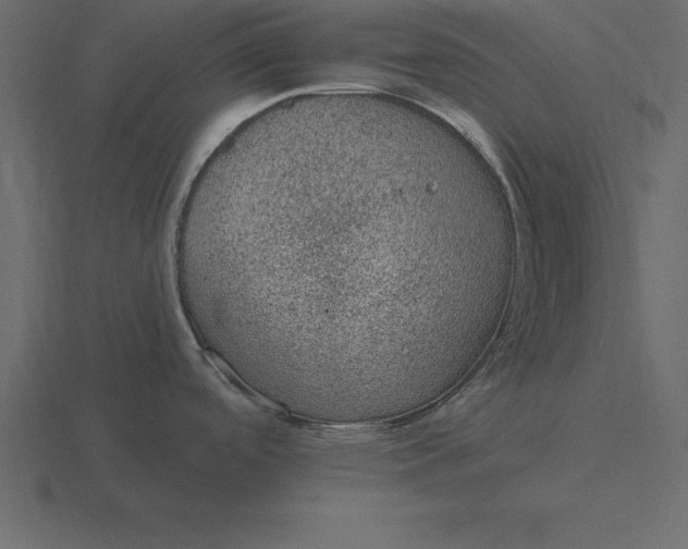 X0000116611488200912241723