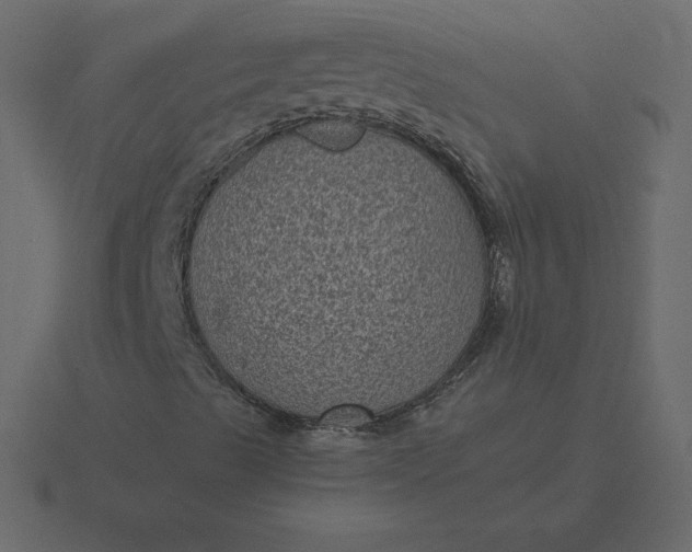 X0000116611489200912241723