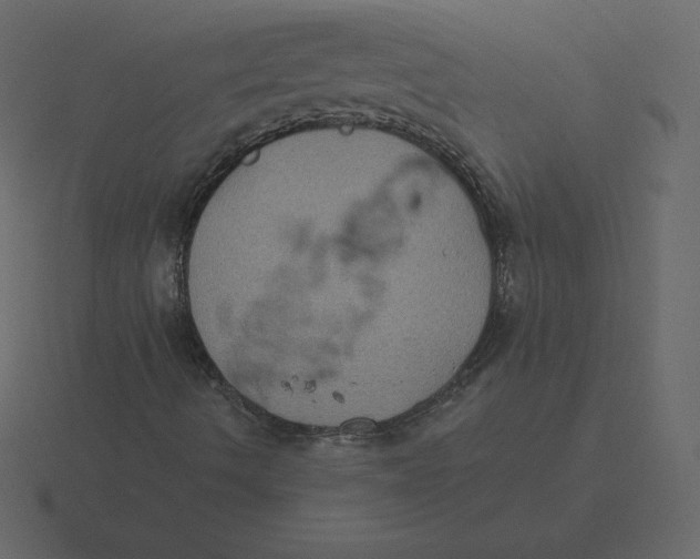 X0000116611490200912241723