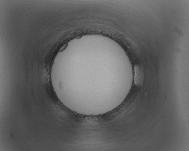 X0000116611491200912241723