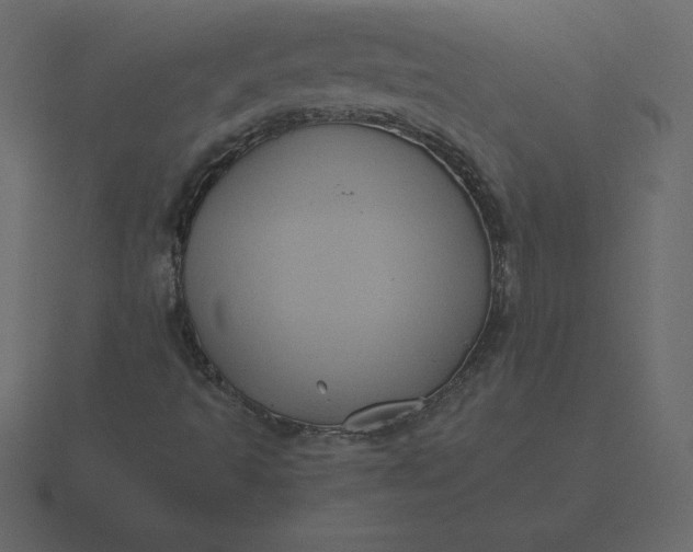 X0000116611493200912241723