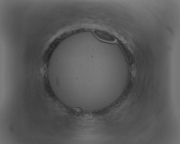 X0000116611495200912241723