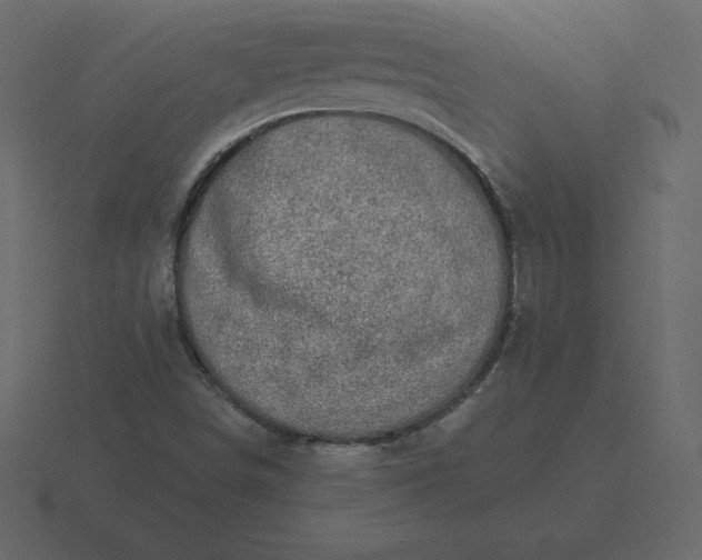 X0000116611498200912241723