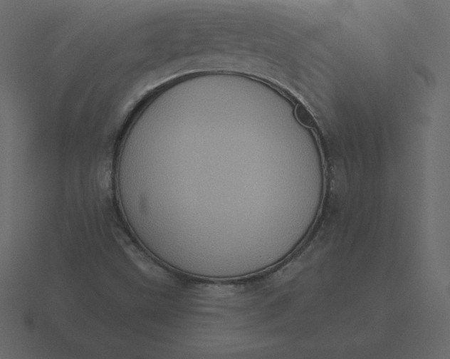 X0000116611499200912241723