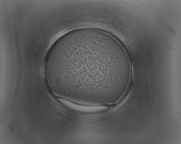 X0000116611501200912241723