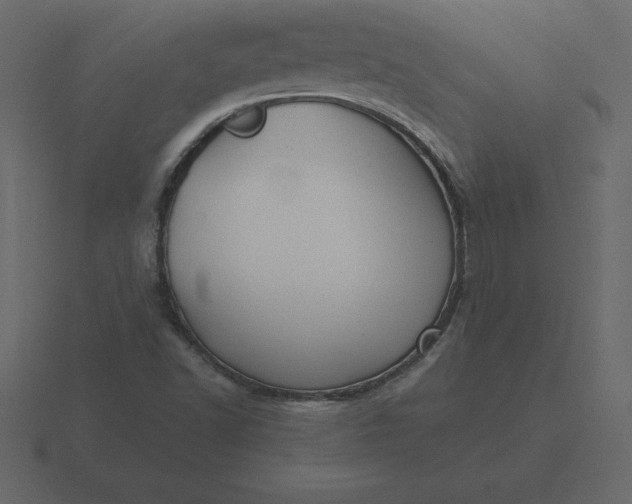 X0000116611502200912241723