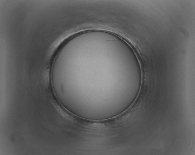 X0000116611503200912241723