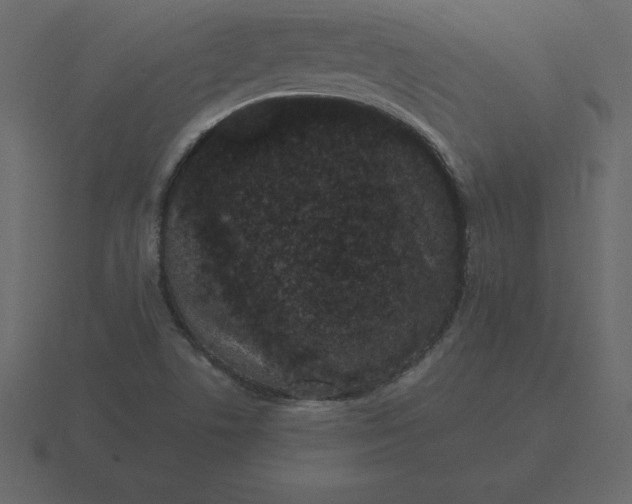 X0000116611506200912241723