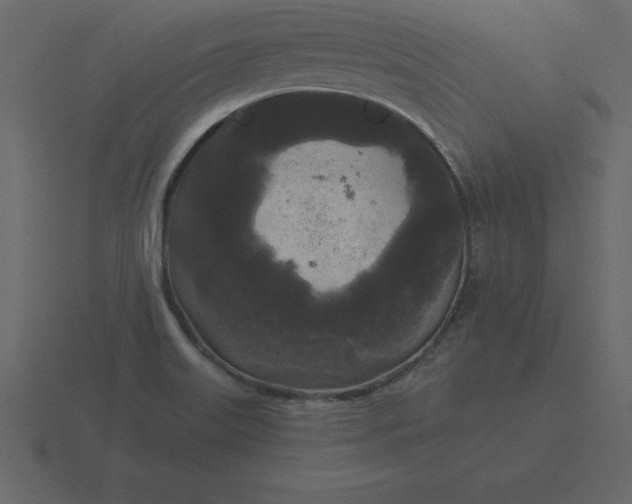 X0000116611515200912241723