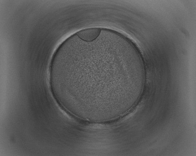 X0000116611517200912241723