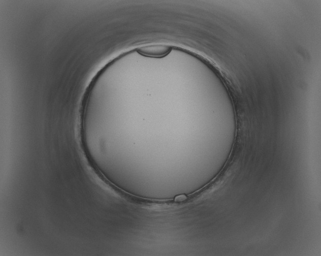 X0000116611518200912241723