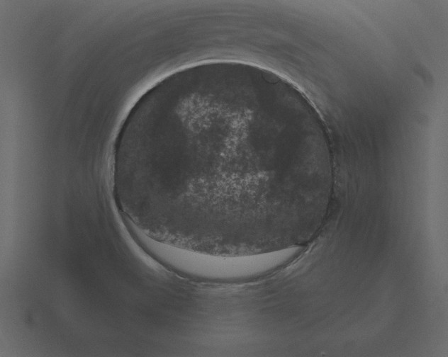 X0000116611519200912241723