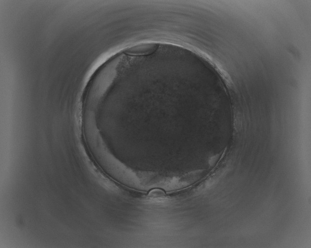 X0000116611522200912241723