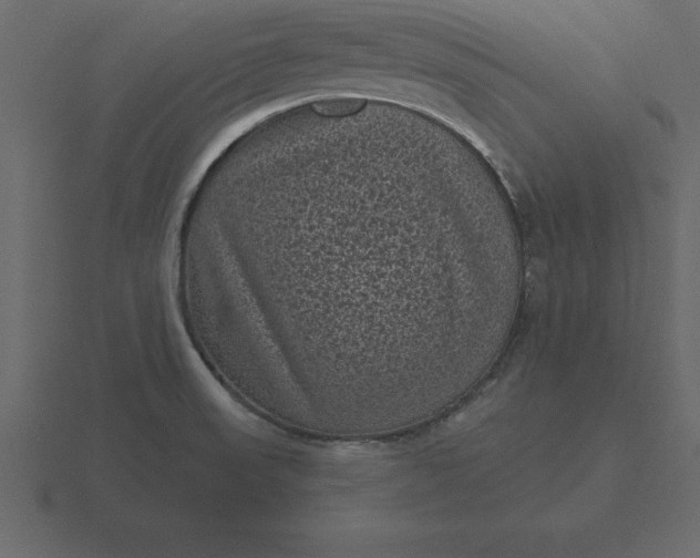 X0000116611523200912241723