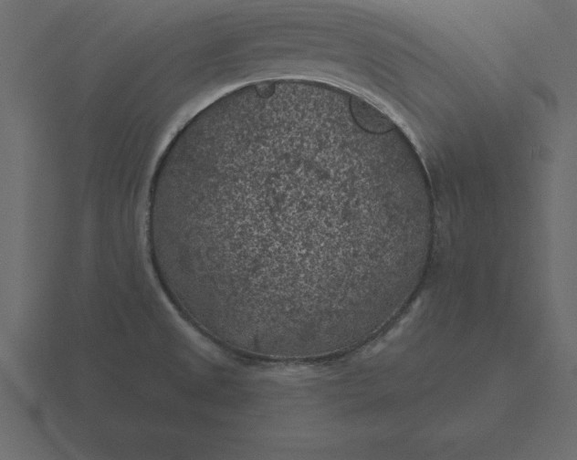 X0000116611525200912241723