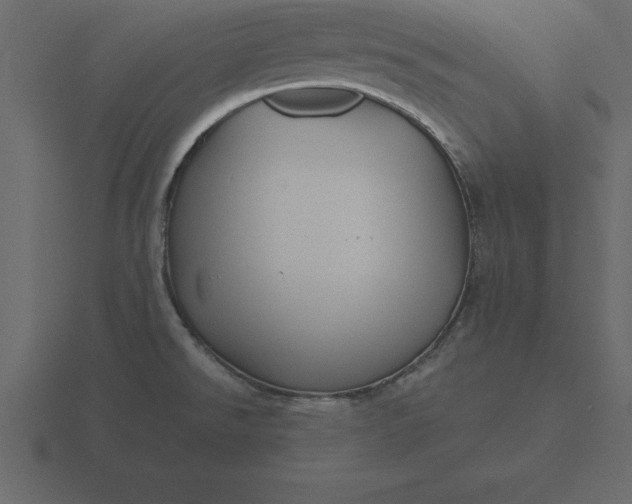 X0000116611526200912241723