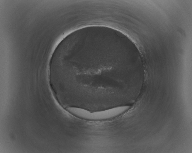 X0000116611527200912241723