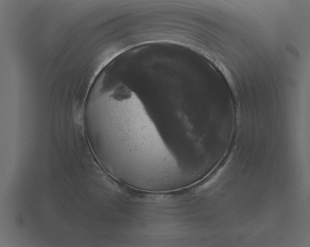 X0000116611529200912241723