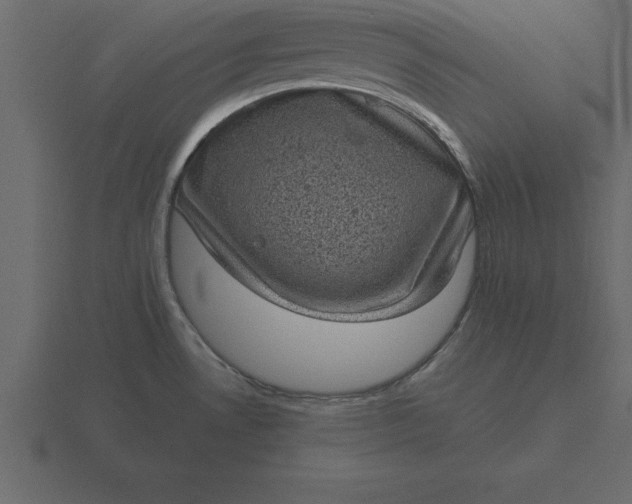 X0000116611530200912241723