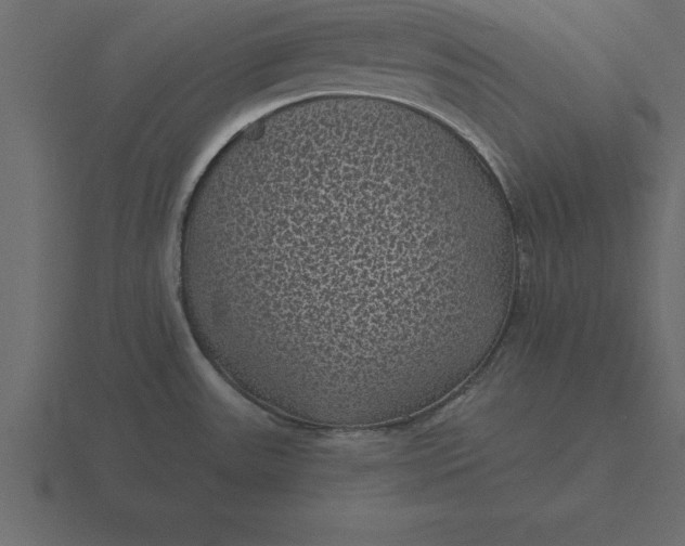 X0000116611531200912241723