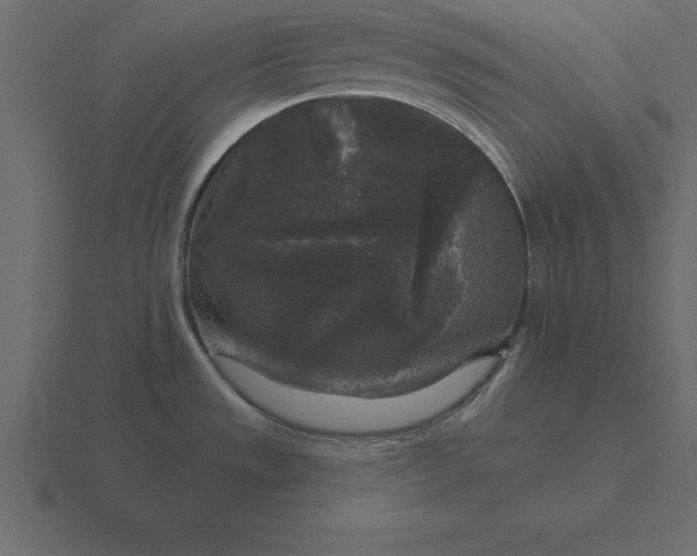 X0000116611533200912241723