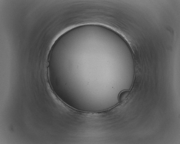 X0000116611534200912241723