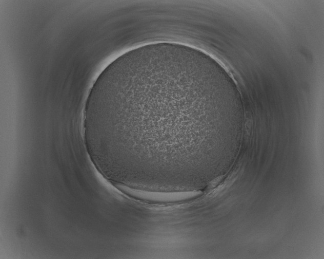 X0000116611535200912241723