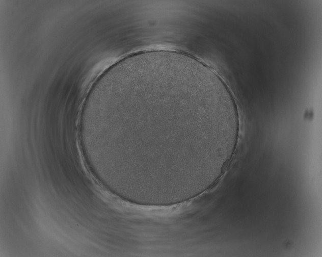 X0000116610001200912312127